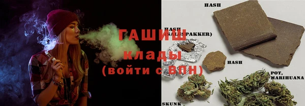 прущие грибы Богородицк