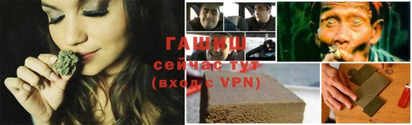 прущие грибы Богородицк