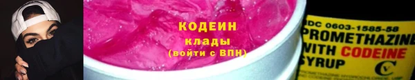 прущие грибы Богородицк