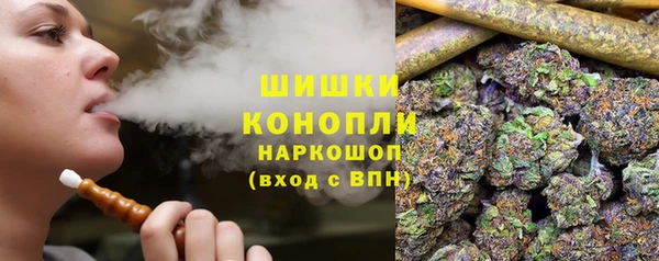 прущие грибы Богородицк
