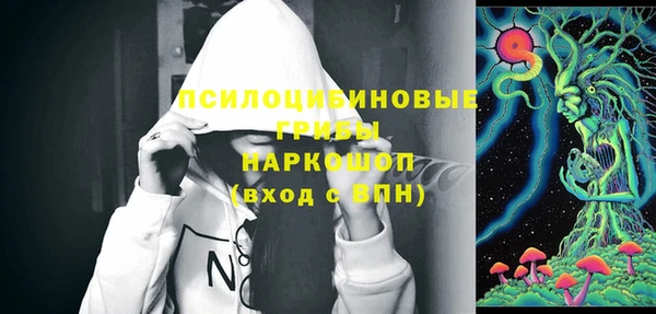 прущие грибы Богородицк