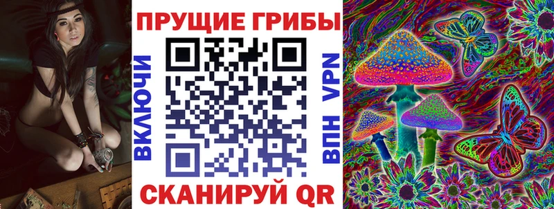 Псилоцибиновые грибы Psilocybe  сколько стоит  мега как зайти  Волжский 